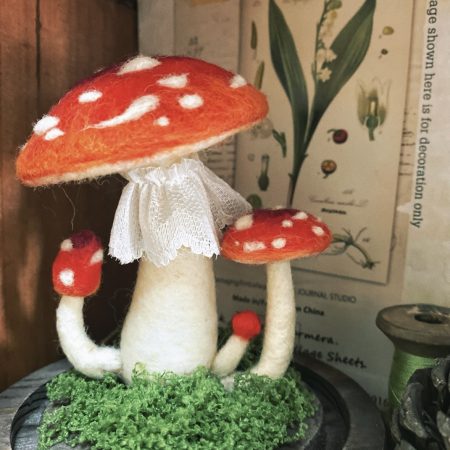 哇塞鲨鱼·毛氈蘑菇-Mushroon