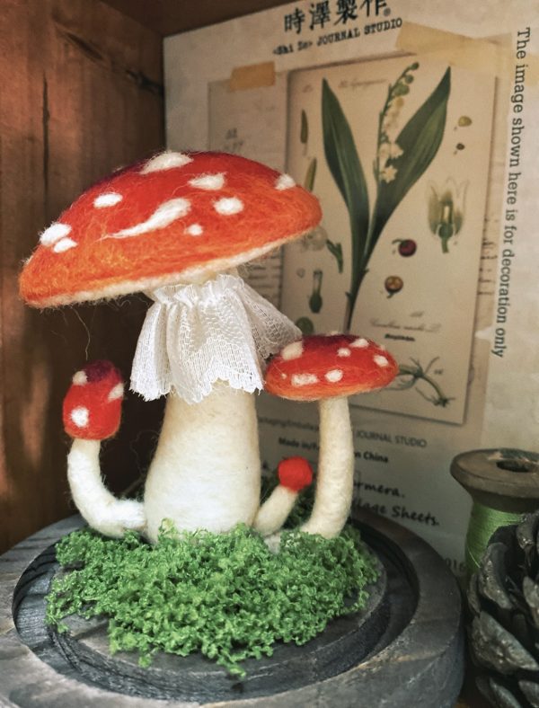 哇塞鲨鱼·毛氈蘑菇-Mushroon